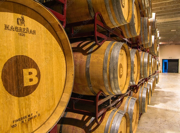 barriles vino post bestue